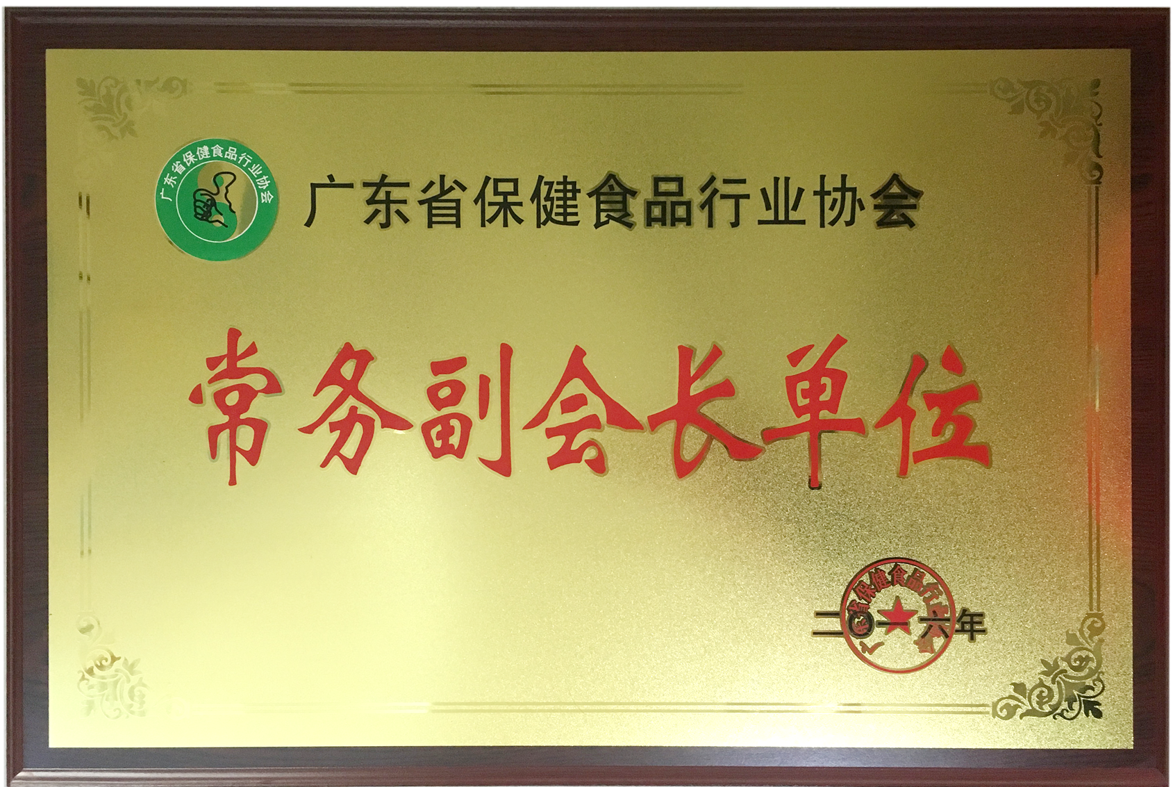 荣获广东省保健操行业协会常务副会长单元称呼
